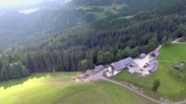 Uma Grande Fazenda Está Localizada Lado Uma Floresta Algum Lugar — Vídeo de Stock