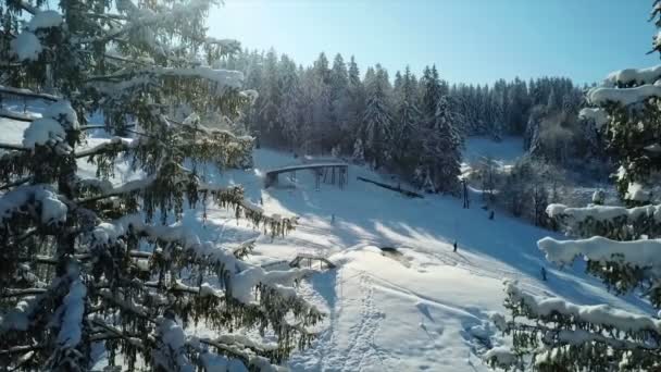 我们正在看人们下坡滑雪 现在是冬天 天气又好又冷 家庭在这个度假胜地度过他们的时间 — 图库视频影像