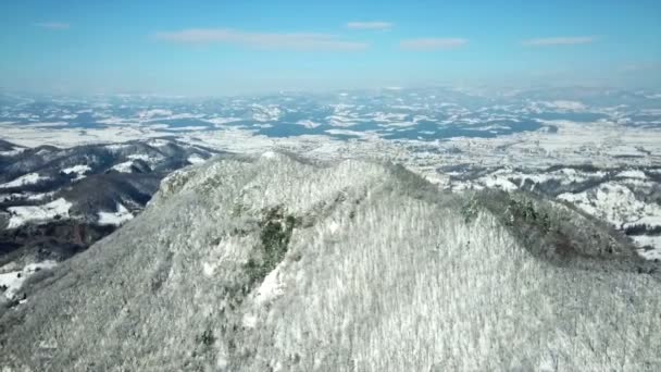 现在是冬天 整个景观都覆盖着雪 天气晴朗而寒冷 — 图库视频影像