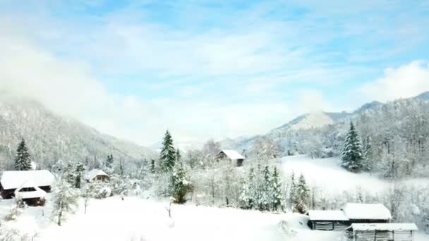 Die Landschaft Sieht Diesem Kalten Wintertag Aus Wie Märchen Luftaufnahme — Stockvideo