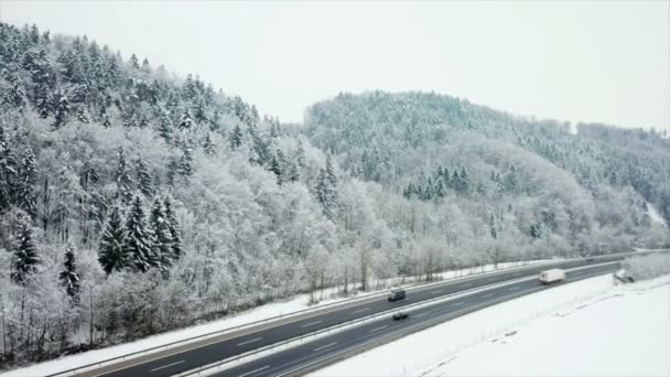 風景は雪で覆われていて ほんの数台の車やトラックが高速道路を走行しています 空中ショット 天気は霧がかかっている — ストック動画