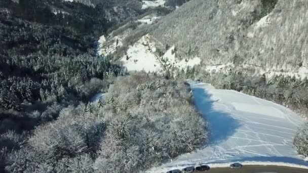 美しい自然は雪に覆われている スロベニアの冬の時間です 航空写真 — ストック動画