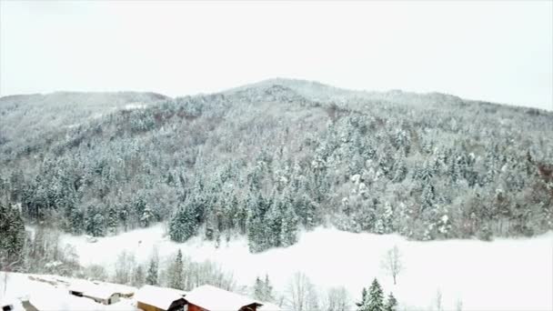 Het Wintertijd Bos Heuvels Hele Natuur Zijn Bedekt Met Sneeuw — Stockvideo