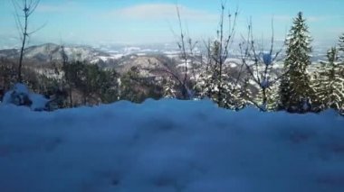 Her yerde çok kar var. Kış zamanı. Doğa güzel görünüyor..