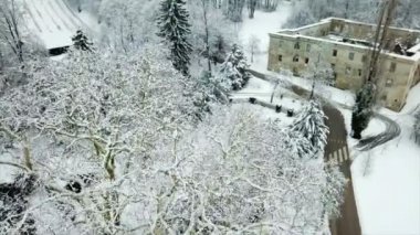 Gölün yanında güzel bir büyük ağaç karla kaplıdır. Kış zamanı ve doğa çok huzurlu görünüyor. Havadan çekim.