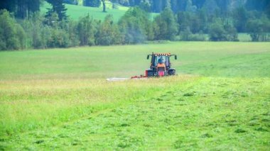 Bir adam traktörüyle çim enteninde dolaşıyor ve çim kesme makineleriyle çim kesiyor..