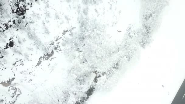 到处都是雪 斯洛文尼亚是冬天 空中拍摄 天气很冷 — 图库视频影像