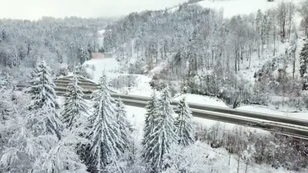 Une Froide Journée Hiver Slovénie Autoroute Est Dégagée Cause Neige — Video