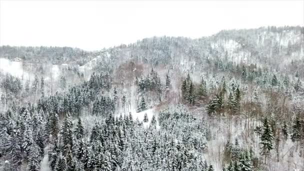 Het Wintertijd Het Landschap Bedekt Met Sneeuw Dag Bewolkt Luchtfoto — Stockvideo