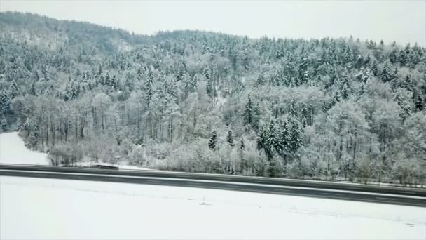 冬には美しい森やスプルースの木々が見えます 高速道路もあり 車が走っています 道路はきれいになった 航空写真 — ストック動画