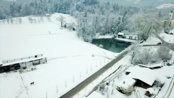 Nous Pouvons Voir Petit Lac Hiver Nature Est Complètement Blanche — Video