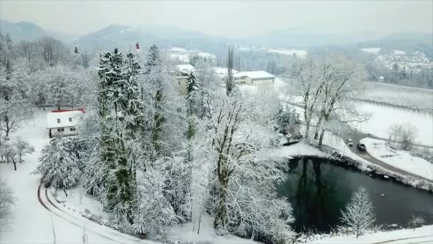 Озеро Небольшая Деревня Зимнее Время Покрыто Снегом Воздушный Удар — стоковое видео