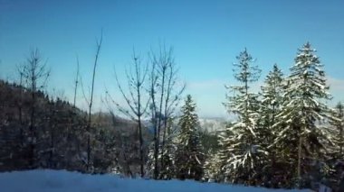 Doğa kış mevsiminde güzeldir. Kar her yerde.