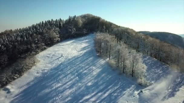 人々がこの丘の上で下り坂を滑っているのが分かる 冬の時間だ空中ショット 日は晴れ 人々は屋外で自分の時間を過ごしています — ストック動画