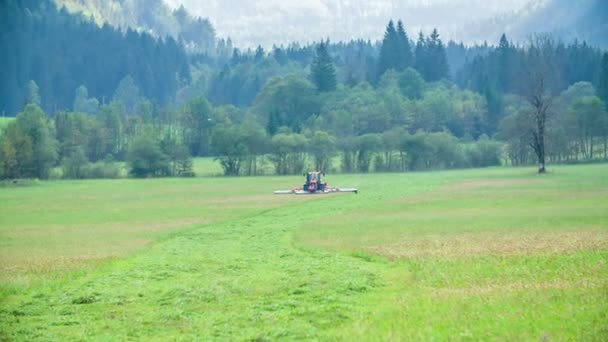 Farmář Potřebuje Snížit Trávu Velké Travnaté Pole Den Krásný Obloha — Stock video