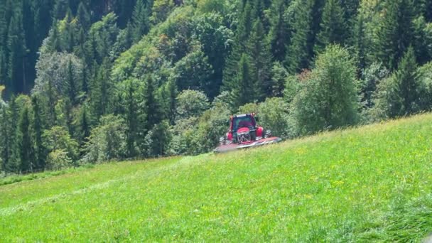 Ein Landwirt Sitzt Einem Traktor Und Mäht Mit Grasschneidemaschinen Gras — Stockvideo