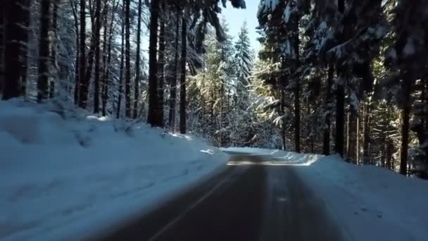 Quelqu Traverse Une Forêt Enneigée Travers Ville Beaucoup Neige Partout — Video