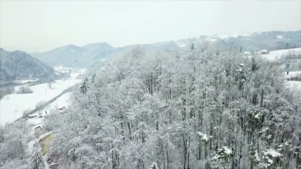 一个小村庄坐落在山谷中 到处都下着大雪 现在是冬天 空中拍摄 — 图库视频影像