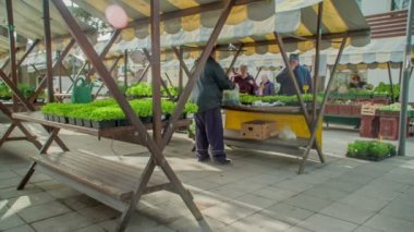 Pazar meydanında sabahın erken saatlerinde. Birkaç saat içinde hava çok hareketli olacak..