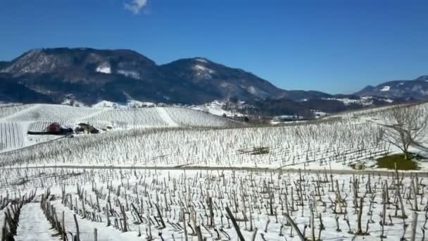 Pokojowa Natura Możemy Zobaczyć Winnice Góry Okresie Zimowym — Wideo stockowe