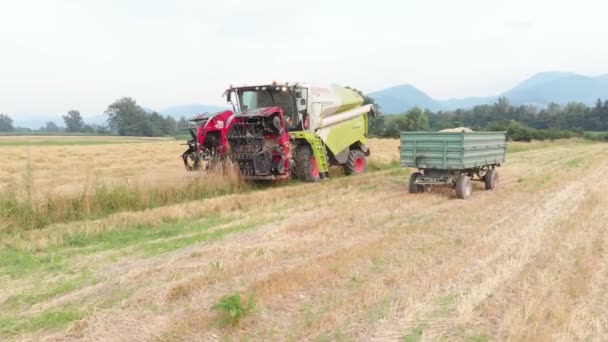 Ein Mähdrescher Und Ein Anhänger Stehen Auf Dem Feld Ist — Stockvideo