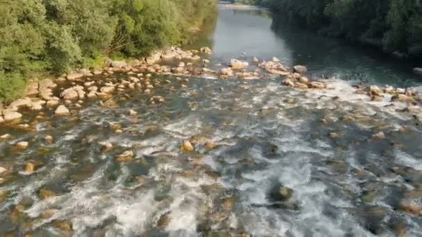 Piękna Woda Rzeki Czas Lato Wszystko Jest Zielone Natura Jest — Wideo stockowe