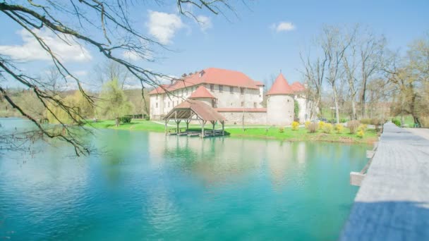 Aerial Footage Beautiful Park Blue River Ancient Castle — Stock Video