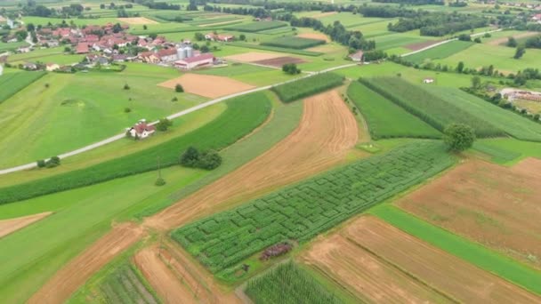 Sehen Wir Herrliche Felder Und Grüne Wiesen Luftaufnahme Ist Ein — Stockvideo