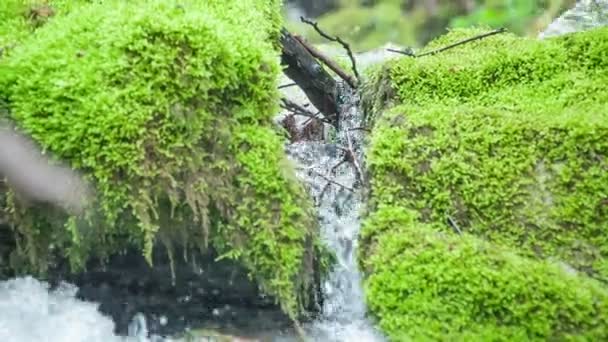 Agua Fluye Muy Rápido Entre Piedras Rocas Que Están Cubiertas — Vídeos de Stock