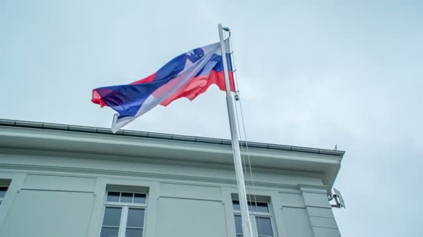 Μια Μεγάλη Σλοβενική Σημαία Στον Στύλο Κυματίζει Στον Άνεμο Υπάρχει — Αρχείο Βίντεο