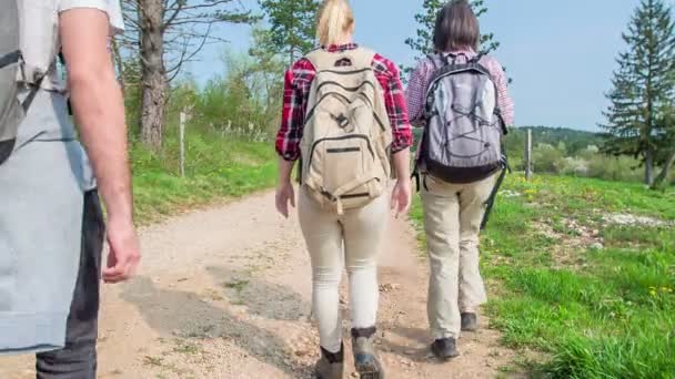 Five Friends Walking Country Road Observing Beautiful Nature Day Sunny — 图库视频影像