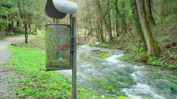 在一条小径和一条河旁边的一个垃圾桶 天气是美丽的 大自然是绿色的 — 图库视频影像