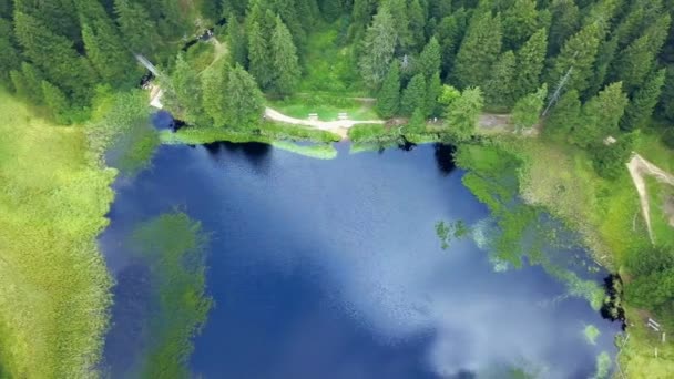 Peace Heaven Earth Aerial Shot Nature Gorgeous Green Alive Water — Stock Video