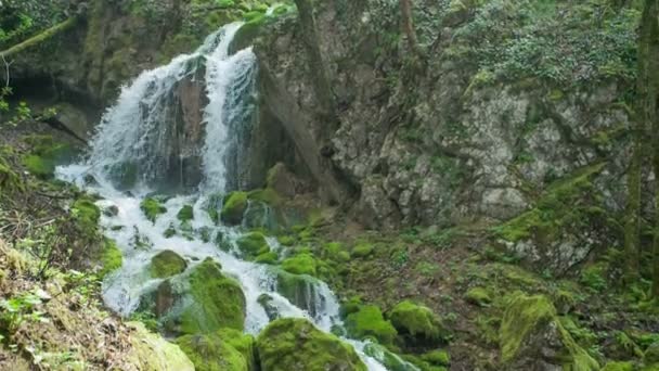 Cascada Bosque Agua Fluye Sobre Una Gota Vertical Podemos Ver — Vídeo de stock