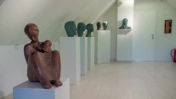 Det Finns Olika Skulpturer Rummet Huset Detta Hus Ett Museum — Stockvideo