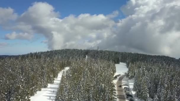 スロベニアの有名なスキーリゾートで 右側の大きなスプルースの森と田舎道 — ストック動画