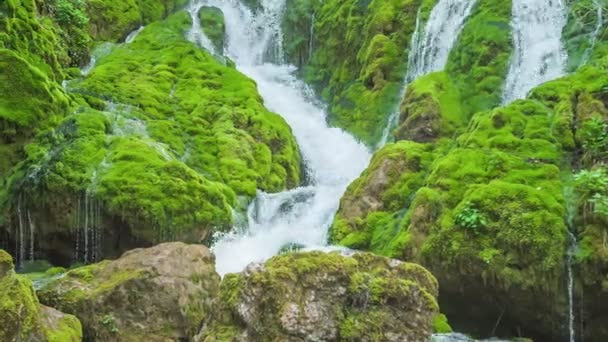 Agua Fluye Por Las Rocas Hay Musgo Creciendo Las Rocas — Vídeos de Stock