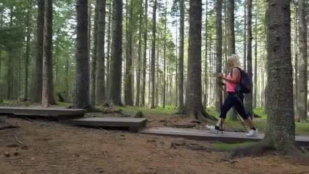 Mladá Žena Kráčí Dřevěné Stezce Lese — Stock video
