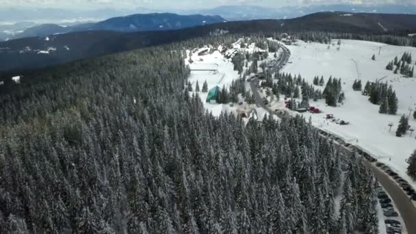 Zien Sparrenbossen Een Leuk Skigebied Luchtfoto Het Een Mooie Winterdag — Stockvideo