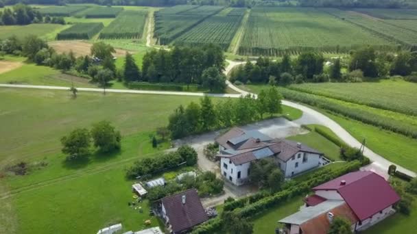 Winnice Zielone Łąki Słowenii Zdjęcia Lotu Ptaka Krajobraz Tym Małym — Wideo stockowe