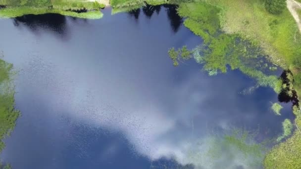 Uno Puede Encontrar Paz Aquí Podemos Ver Lago Azul Oscuro — Vídeos de Stock