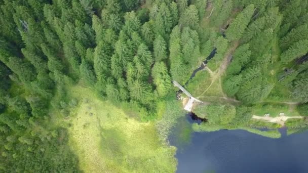 Lac Bleu Foncé Touche Presque Début Forêt Nature Est Vraiment — Video
