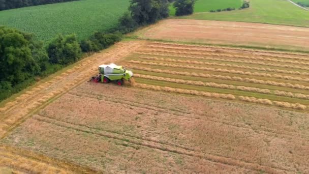 一个混合体正向后行驶在一个棕色的大田野上 空中射击 每年的这个时候 农民们都在收割小麦 — 图库视频影像