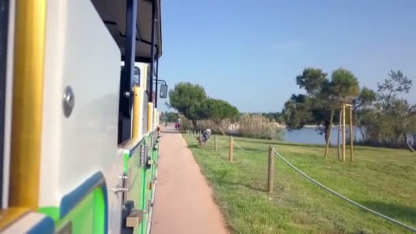 Een Voertuig Rijdt Weg Hond Rent Ernaast Dit Gebeurt Aan — Stockvideo