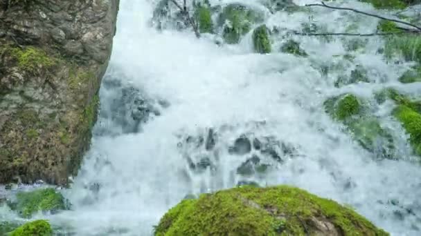 Espuma Agua Crea Cuando Agua Fluye Sobre Las Rocas Bosque — Vídeos de Stock