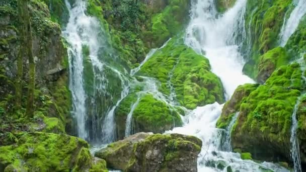 Sloven Karst Gerçekten Çok Güzel Ayrıca Ormanda Şelale Görülmektedir Kayalar — Stok video