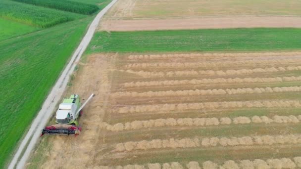 Tractor Conduce Dirección Opuesta Disparo Aéreo Verano Los Agricultores Están — Vídeos de Stock