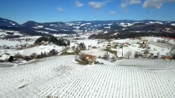 Uma Quinta Topo Colina Inverno Aeril Baleado Natureza Está Coberta — Vídeo de Stock