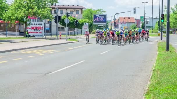 Grupp Snabbaste Väg Cykel Åkare Vädret Perfekt För Maraton — Stockvideo