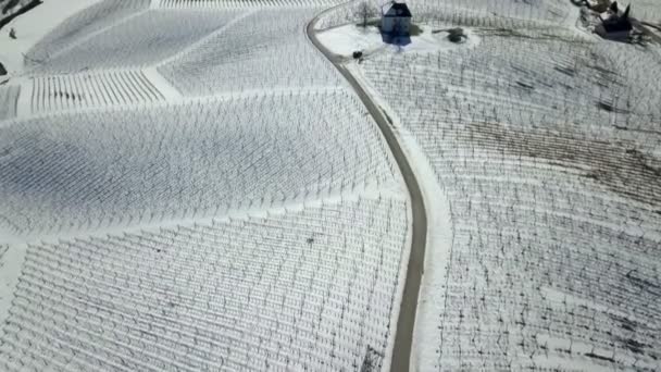 Peaceful Nature Winter Time Aerial Shot Vineyards Covered Snow — Stock Video